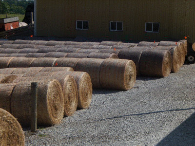 Hay cooling area