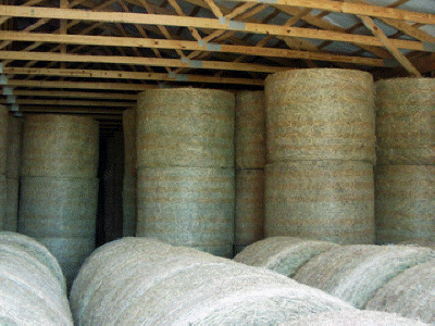 Inside Storage